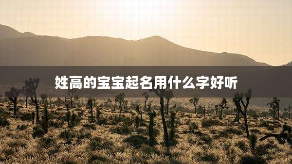姓高的宝宝起名用什么字好听