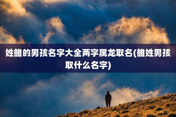 姓雒的男孩名字大全两字属龙取名(雒姓男孩取什么名字)