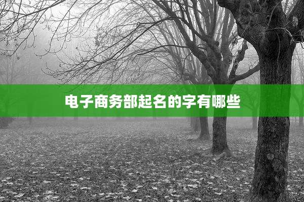 电子商务部起名的字有哪些