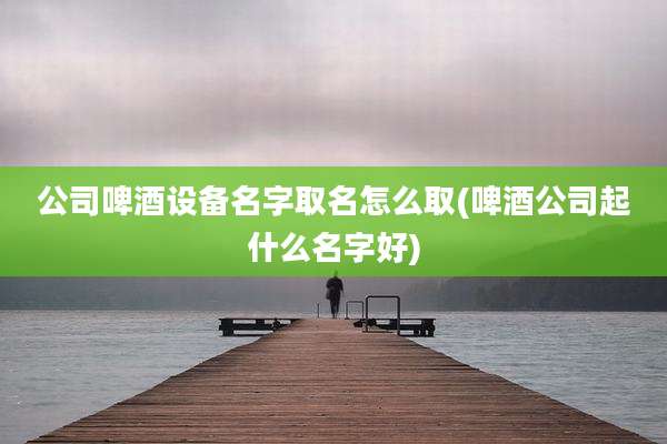 公司啤酒设备名字取名怎么取(啤酒公司起什么名字好)
