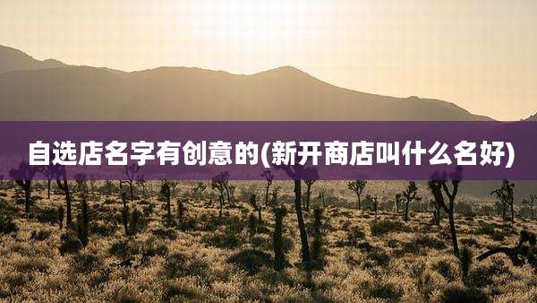 自选店名字有创意的(新开商店叫什么名好)