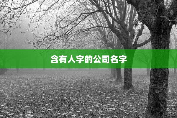 含有人字的公司名字