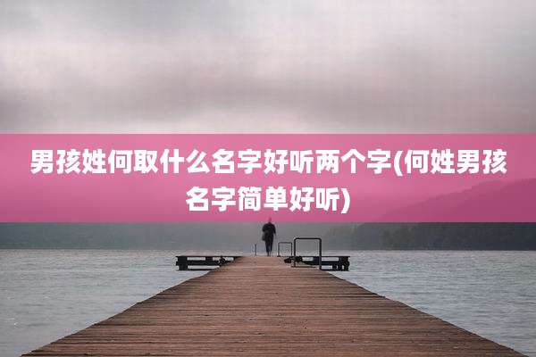男孩姓何取什么名字好听两个字(何姓男孩名字简单好听)