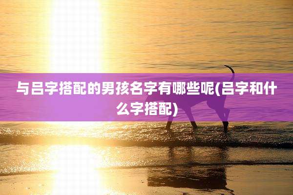 与吕字搭配的男孩名字有哪些呢(吕字和什么字搭配)