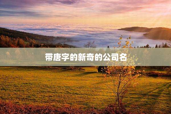 带唐字的新奇的公司名