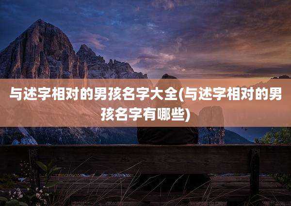 与述字相对的男孩名字大全(与述字相对的男孩名字有哪些)