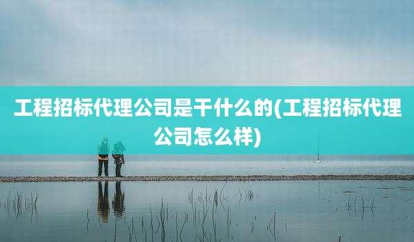 工程招标代理公司是干什么的(工程招标代理公司怎么样)