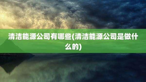 清洁能源公司有哪些(清洁能源公司是做什么的)