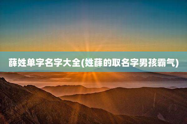薛姓单字名字大全(姓薛的取名字男孩霸气)