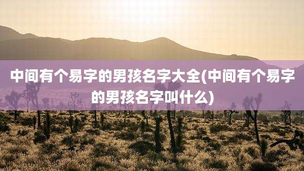 中间有个易字的男孩名字大全(中间有个易字的男孩名字叫什么)