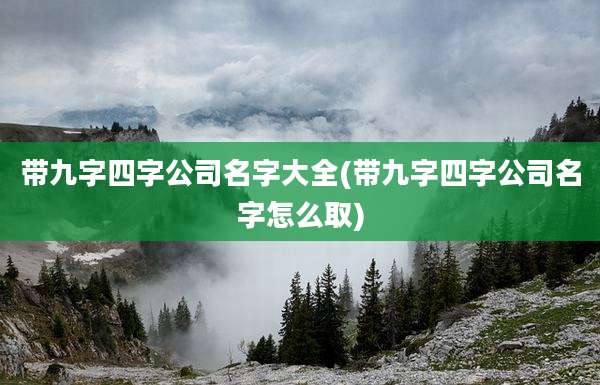 带九字四字公司名字大全(带九字四字公司名字怎么取)