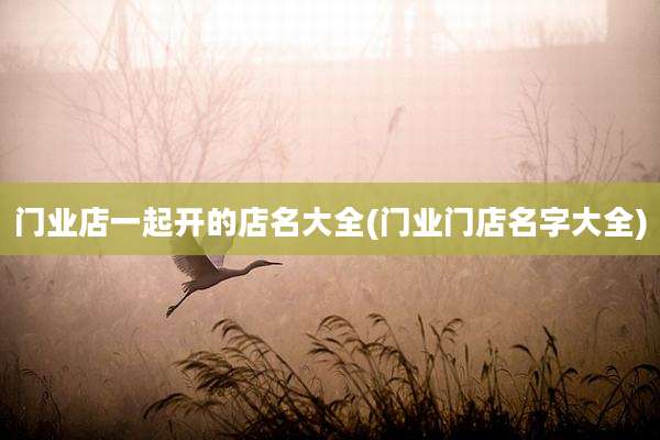 门业店一起开的店名大全(门业门店名字大全)