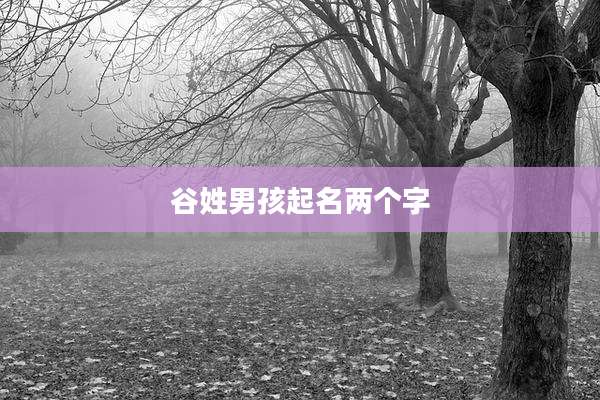 谷姓男孩起名两个字
