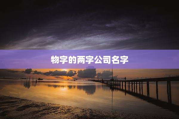 物字的两字公司名字