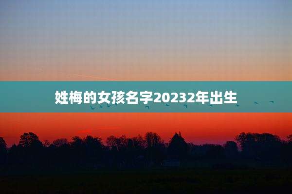 姓梅的女孩名字20232年出生