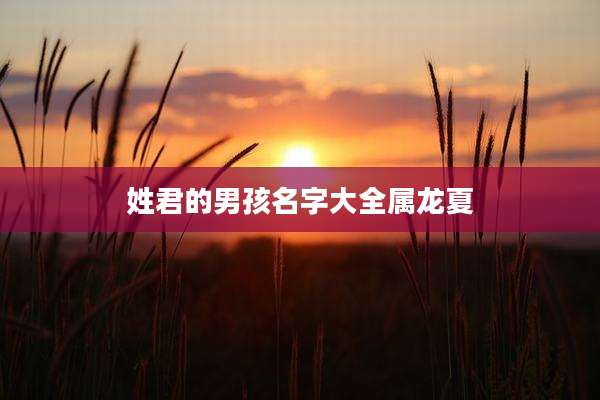 姓君的男孩名字大全属龙夏