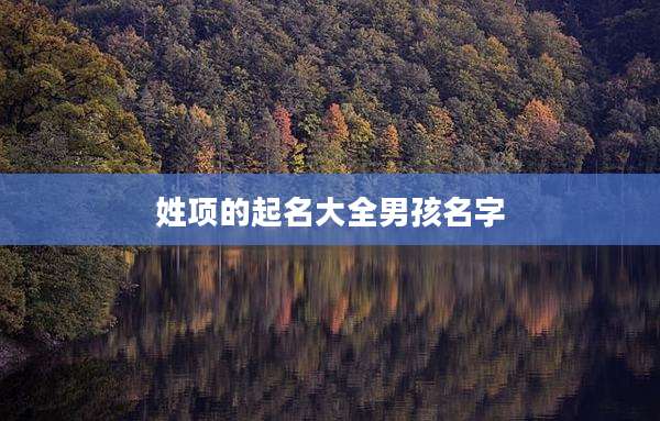 姓项的起名大全男孩名字