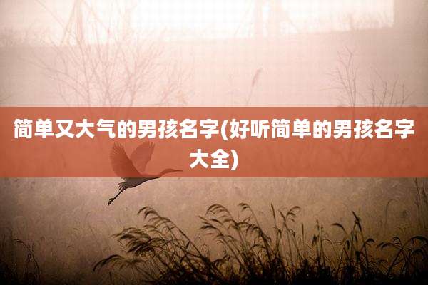 简单又大气的男孩名字(好听简单的男孩名字大全)