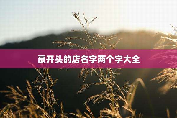 豪开头的店名字两个字大全