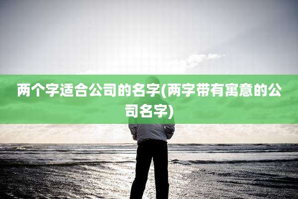 两个字适合公司的名字(两字带有寓意的公司名字)