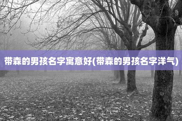 带森的男孩名字寓意好(带森的男孩名字洋气)