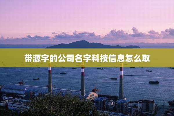 带源字的公司名字科技信息怎么取