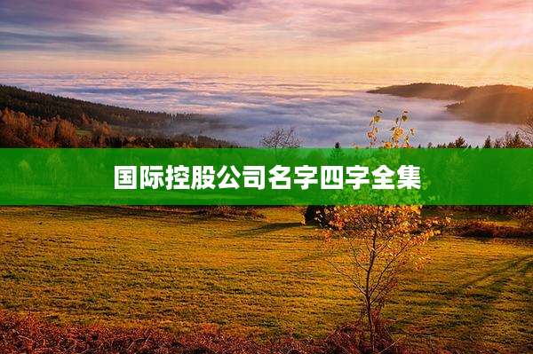 国际控股公司名字四字全集