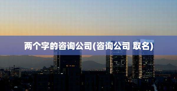 两个字的咨询公司(咨询公司 取名)