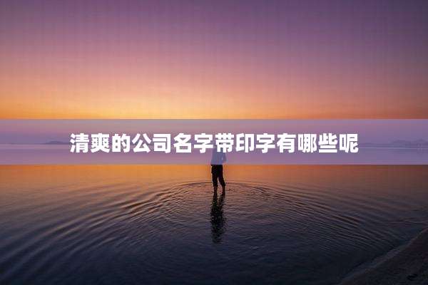 清爽的公司名字带印字有哪些呢