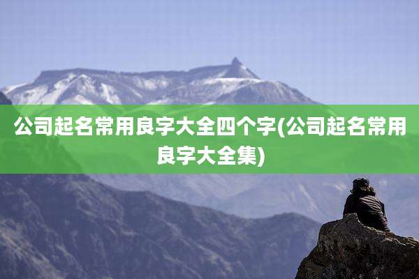 公司起名常用良字大全四个字(公司起名常用良字大全集)
