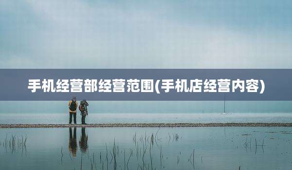 手机经营部经营范围(手机店经营内容)