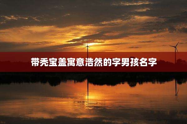 带秃宝盖寓意浩然的字男孩名字