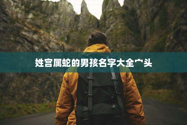 姓宫属蛇的男孩名字大全宀头
