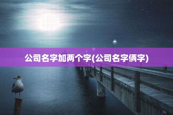 公司名字加两个字(公司名字俩字)
