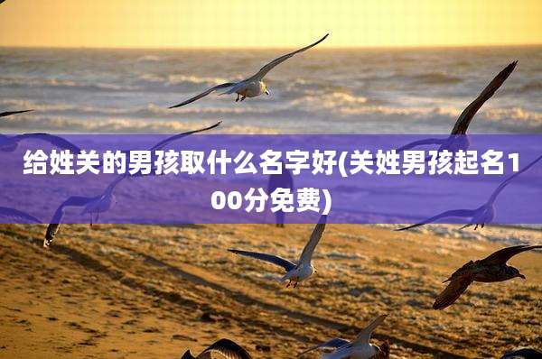 给姓关的男孩取什么名字好(关姓男孩起名100分免费)