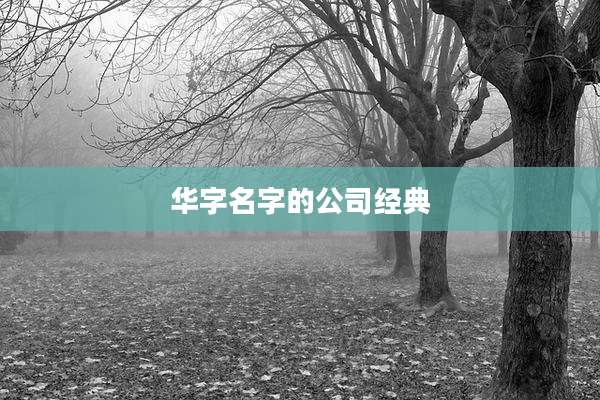 华字名字的公司经典