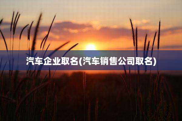 汽车企业取名(汽车销售公司取名)