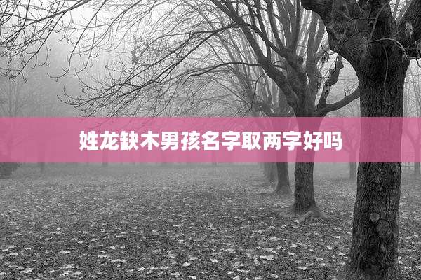 姓龙缺木男孩名字取两字好吗