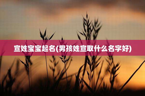 宣姓宝宝起名(男孩姓宣取什么名字好)