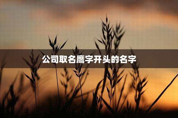 公司取名鹰字开头的名字