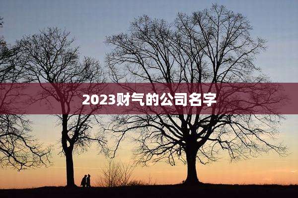 2023财气的公司名字