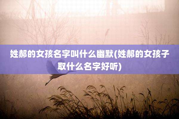 姓郝的女孩名字叫什么幽默(姓郝的女孩子取什么名字好听)