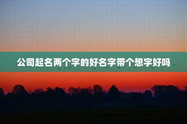公司起名两个字的好名字带个想字好吗