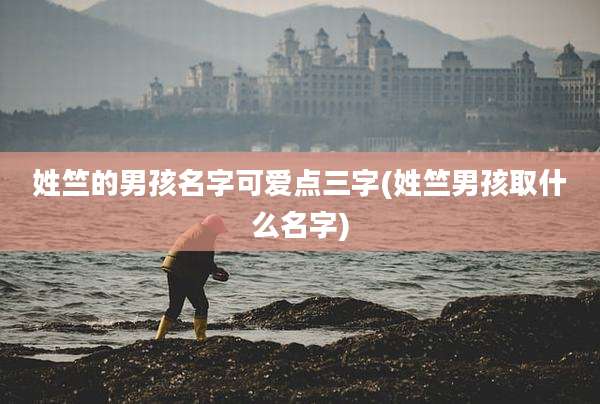 姓竺的男孩名字可爱点三字(姓竺男孩取什么名字)