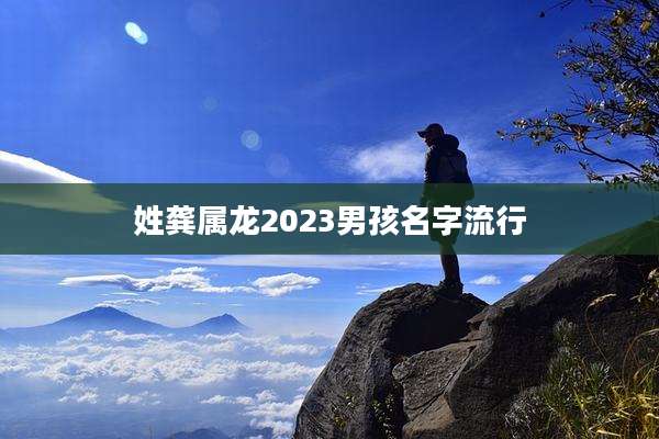 姓龚属龙2023男孩名字流行