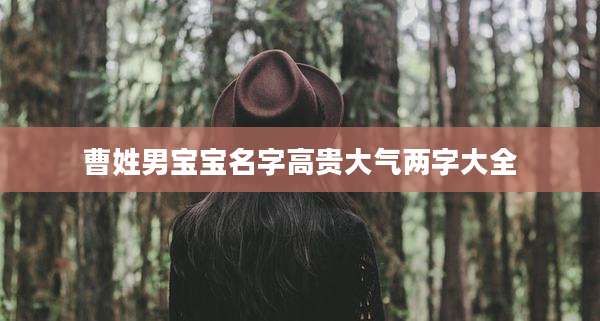 曹姓男宝宝名字高贵大气两字大全
