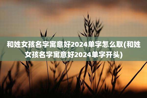 和姓女孩名字寓意好2024单字怎么取(和姓女孩名字寓意好2024单字开头)