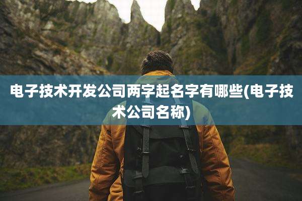 电子技术开发公司两字起名字有哪些(电子技术公司名称)