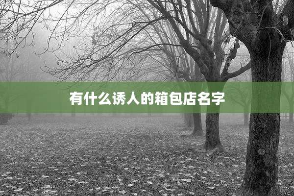 有什么诱人的箱包店名字