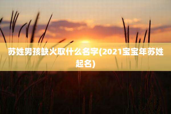 苏姓男孩缺火取什么名字(2021宝宝年苏姓起名)